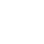 SEO Optimization